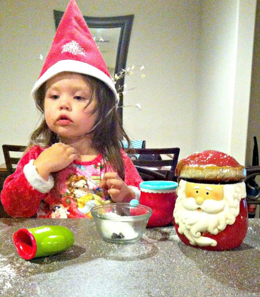 #NorthpoleFun #CollectiveBias #Cbias