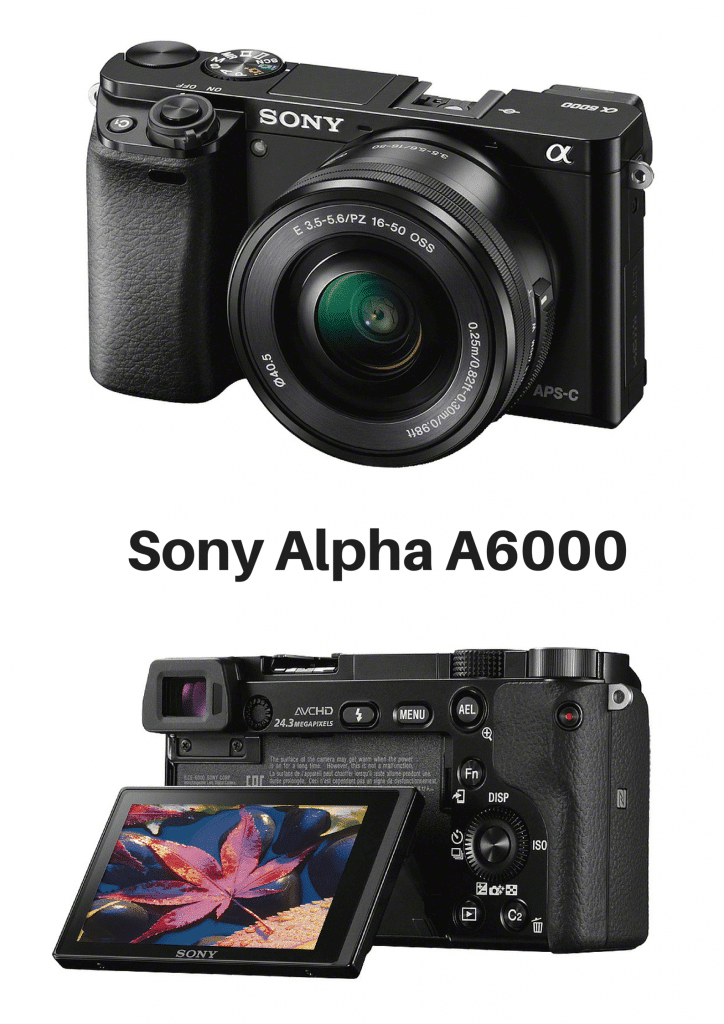 Sony Alpha A6000 (1)