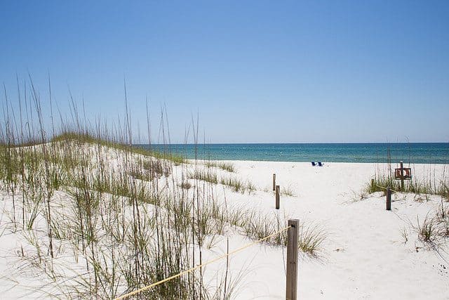 a beach