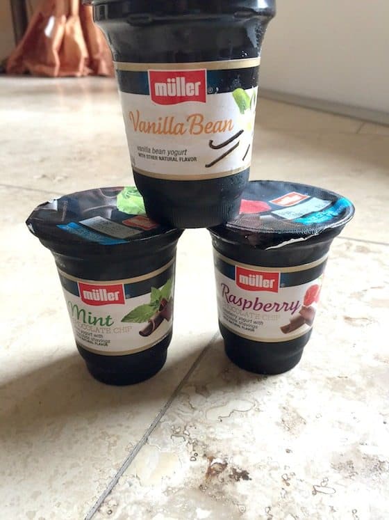 Strawberry Short Cake Recipe @MullerQuaker @Walmart #MullerMoment #Ad