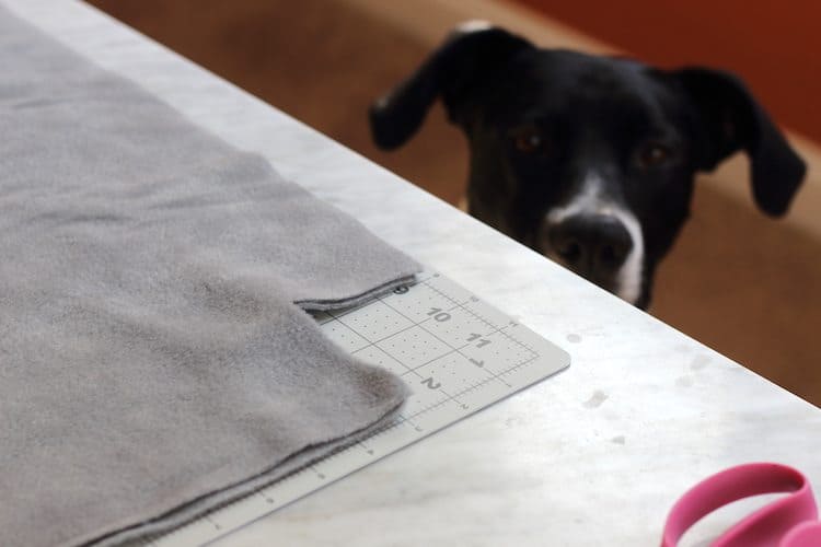 DIY No-Sew Dog Bed For Under $10 + Giveaway #IAMSVisibleDifference #IAMSDog #CollectiveBias