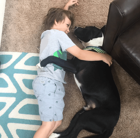 Find Your Next Pet At A Rescue Shelter + More Inspiration Pet Information From PawCulture #PawCulture