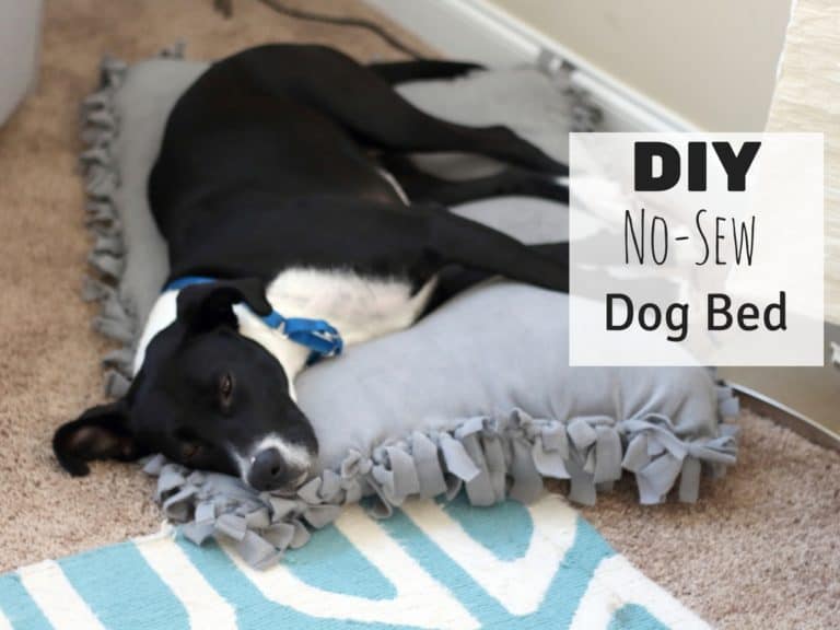 diy dog bed no sew