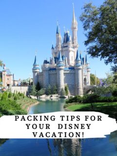 Heading to Disney with your family soon? You will want to check out these Packing Tips from a PRO for your Disney Vacation!