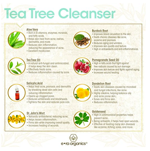 Face Wash For Your Teenagers Tea Tree Oil Face Cleanser from Era