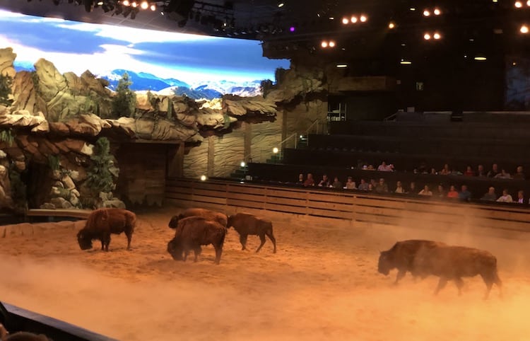 Best Shows In Branson - Dolly Parton’s Stampede Dinner Attraction Best Shows In Branson - Dolly Parton’s Stampede Dinner Attraction