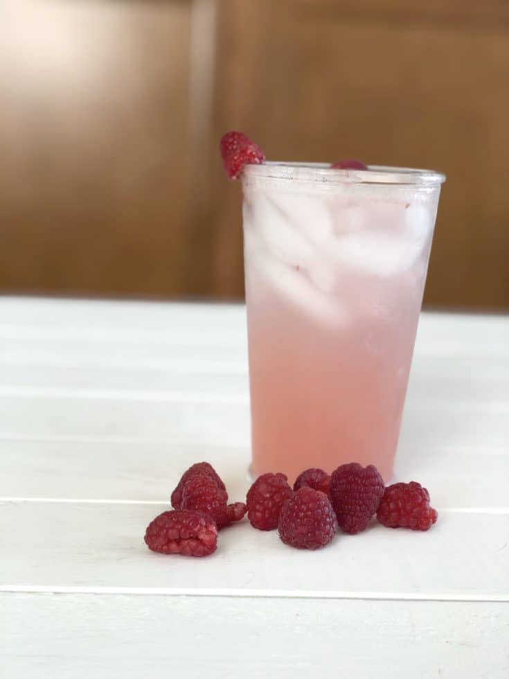 Make your own Sugar Free Raspberry Soda at home. You only need a few ingredients and your favorite sugar free sweetener!