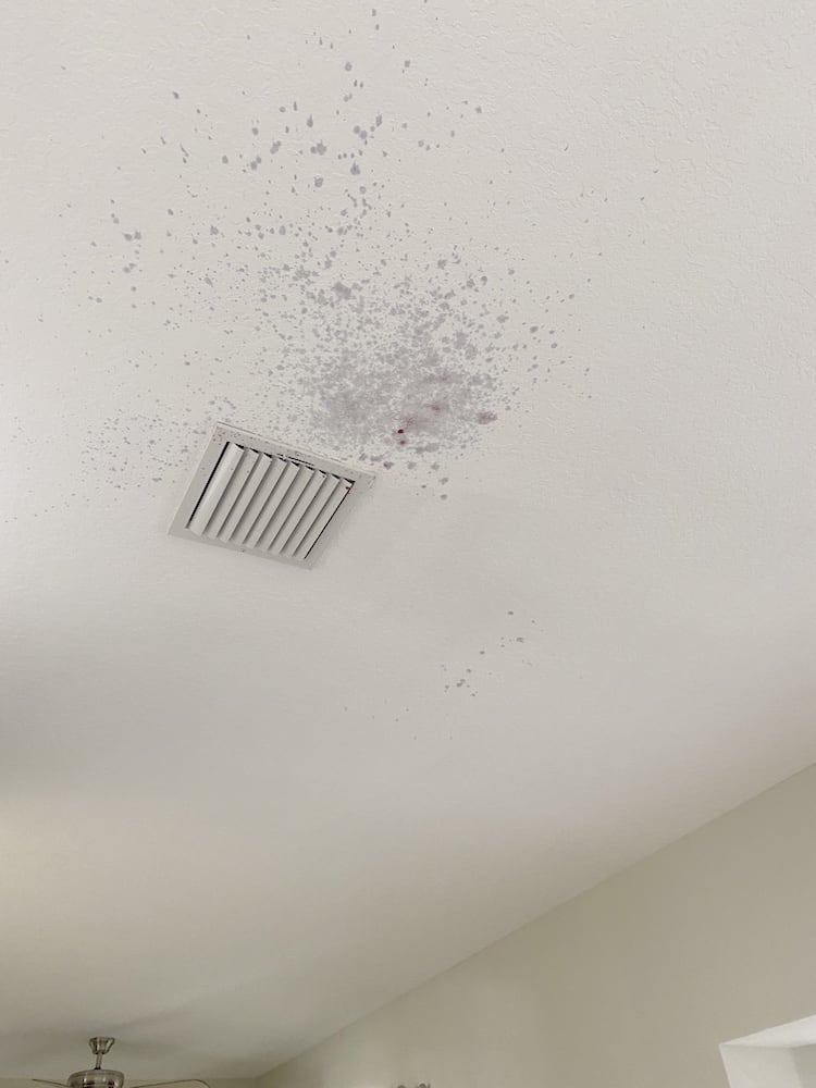 If you are searching for How To Remove Red Wine Stains From A Ceiling (or walls) - you probably made a little mess! But don't worry! I did the same thing and for less than $20 - I was able to make my ceiling look brand new again! 
