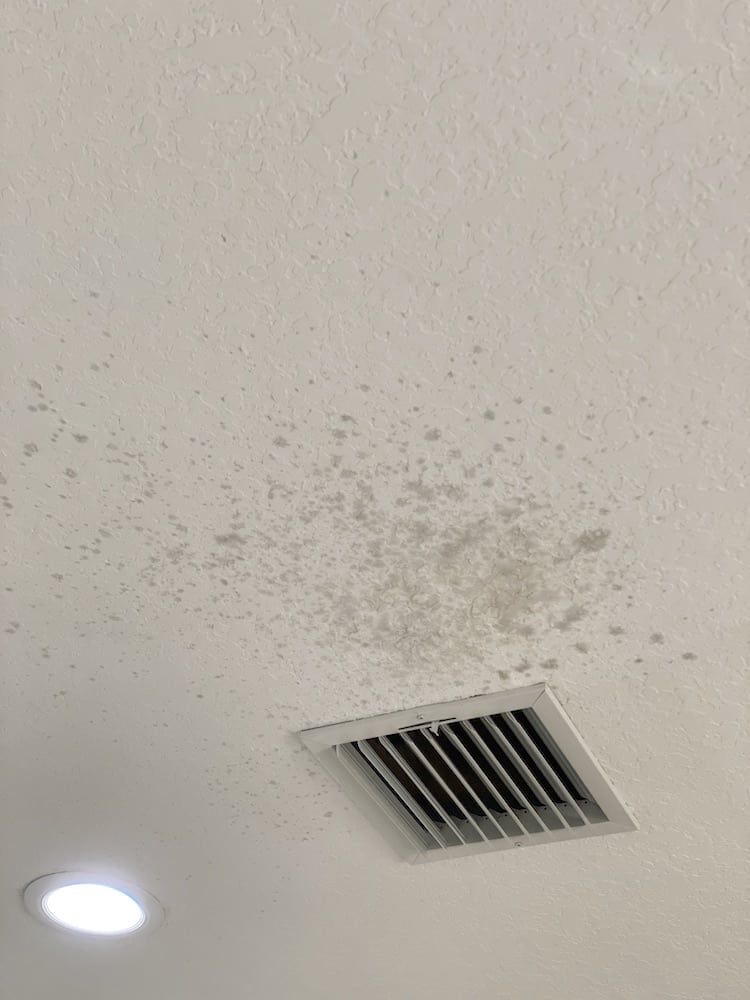 If you are searching for How To Remove Red Wine Stains From A Ceiling (or walls) - you probably made a little mess! But don't worry! I did the same thing and for less than $20 - I was able to make my ceiling look brand new again! 