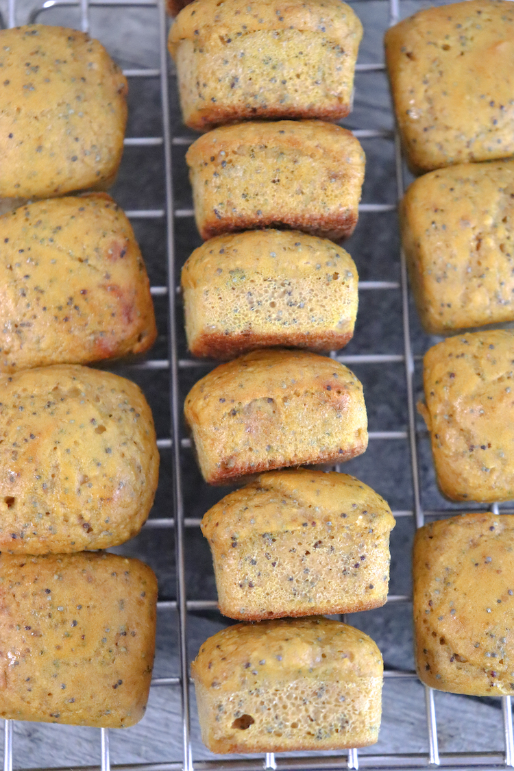 Looking for a Gluten Free Muffin Recipe? Check out this recipe for Lemon Poppy Seed Muffin Bites - low calorie & high protein!