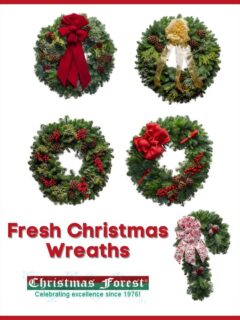 Are you ready to decorate for Christmas? Grab a fresh Christmas Wreath from Christmas Forest! They have been making wreaths since 1976! They are the best quality around!