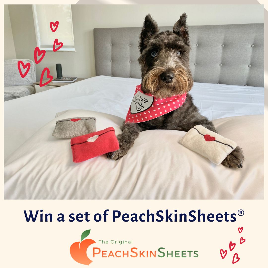 PeachSkinSheets - Affordable Luxury Sheets are breathable and moisture-wicking sheets, making them the perfect must-have for Valentines!