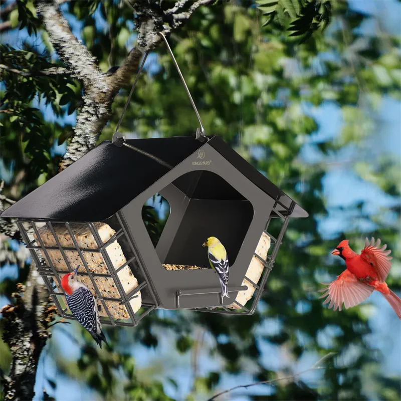 Find the best bird houses for your backyard at KingsYard. They have wooden, metal, and glass options to attract the best birds!