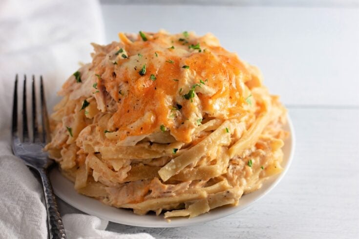 Creamy Chicken Tetrazzini is a comforting pasta bake loaded with tender chicken, a rich creamy sauce, and melted cheese. This easy, family-friendly recipe is perfect for a cozy weeknight dinner or potluck favorite!