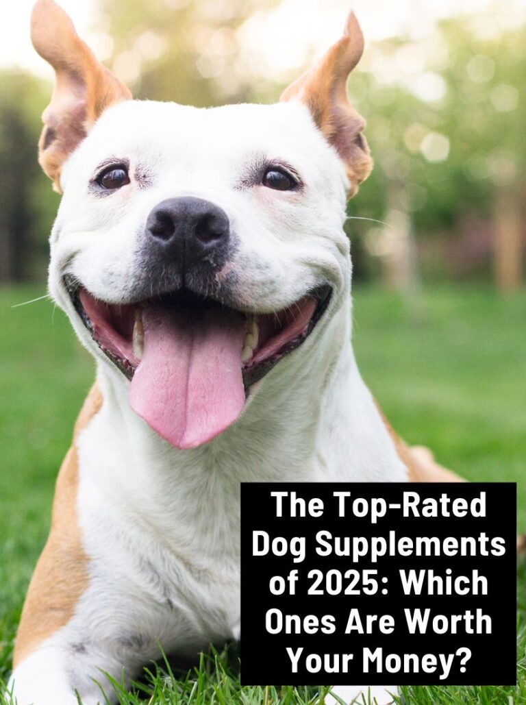 We’ve ranked the best dog supplements of 2025 based on ingredient quality, vet backing, customer feedback, and science-supported benefits.