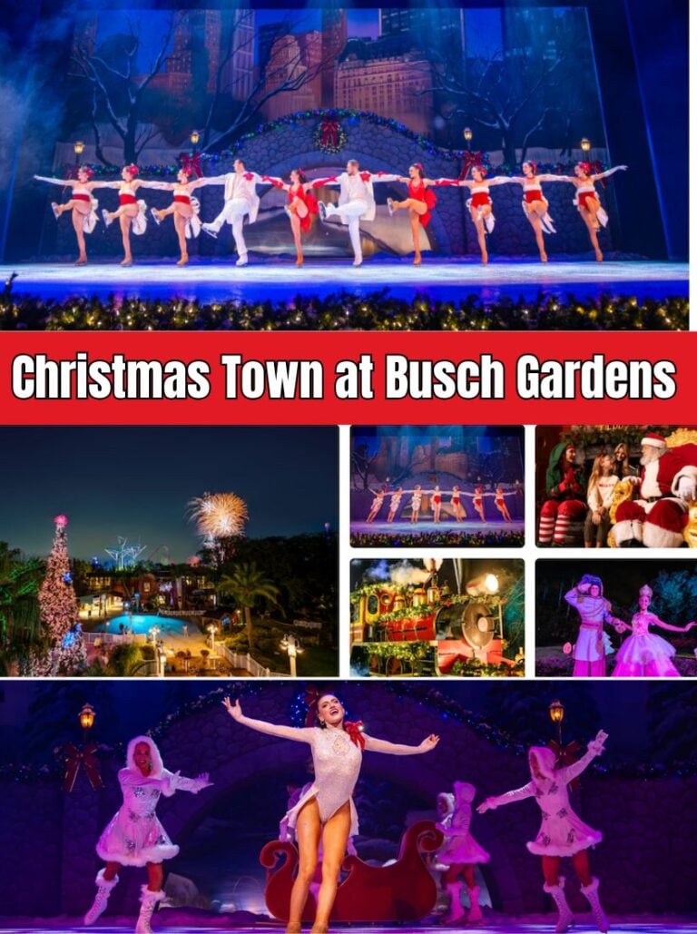 Experience Christmas Town at Busch Gardens Tampa Bay with lights, shows, seasonal treats, and holiday deals. A fun way to enjoy the season.