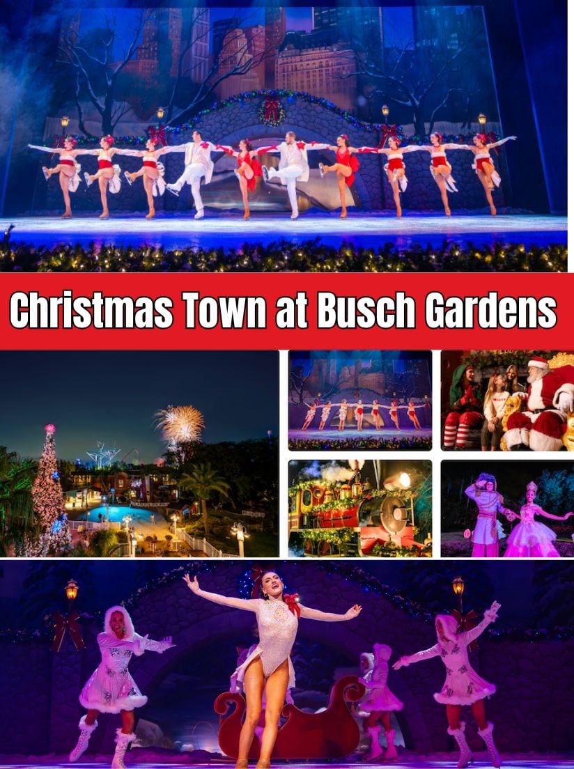 Experience Christmas Town at Busch Gardens Tampa Bay with lights, shows, seasonal treats, and holiday deals. A fun way to enjoy the season.