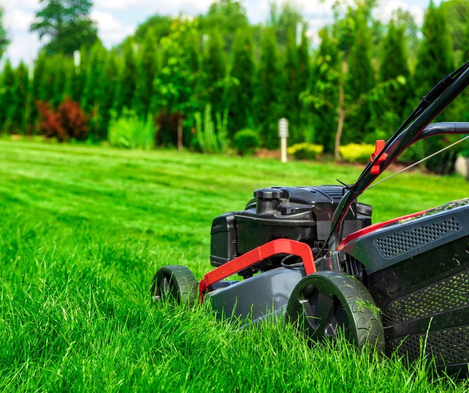 Learn how to keep your lawn healthy while you’re away with smart mowing, watering, and weed prevention tips that protect your yard during travel.