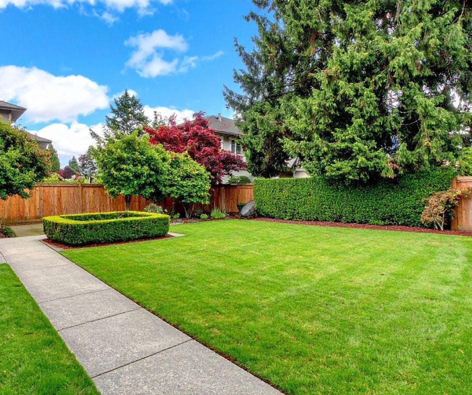 Learn how to keep your lawn healthy while you’re away with smart mowing, watering, and weed prevention tips that protect your yard during travel.