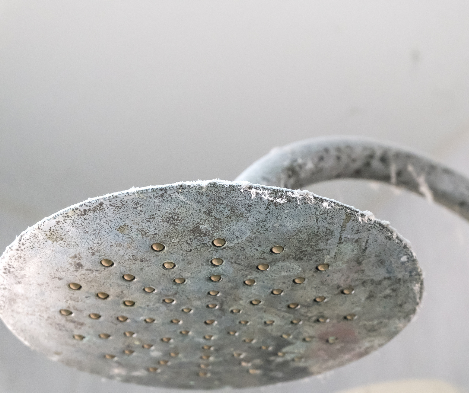 Close-up of a round chrome showerhead covered in white limescale and mineral deposits.