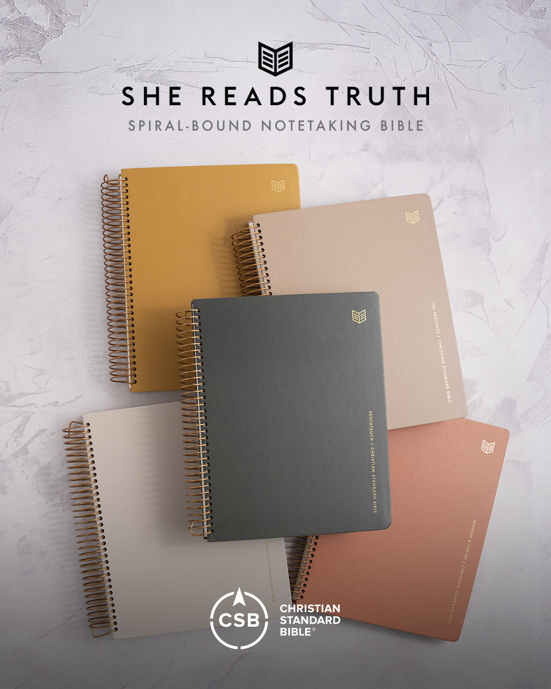 Five colorful, spiral-bound She Reads Truth Notetaking Bibles stacked on a textured gray background.