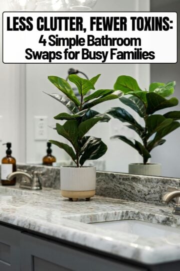 Modern bathroom vanity with a white and gray marble countertop, brushed nickel faucets, and a dark gray cabinet. A small green potted fiddle-leaf fig plant sits in the center of the counter in front of a large mirror, creating a clean, organized look.