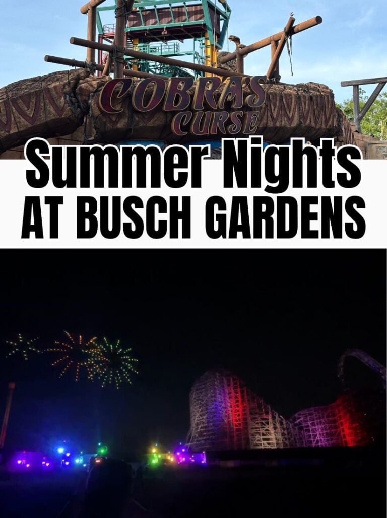 A vertical graphic with the text "Summer Nights at Busch Gardens" featuring the Cobra's Curse entrance and a fireworks drone show over a roller coaster.